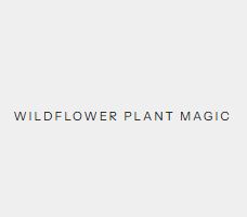 Wildflower Plant Magic