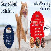 Dinner for Dogs and Cats